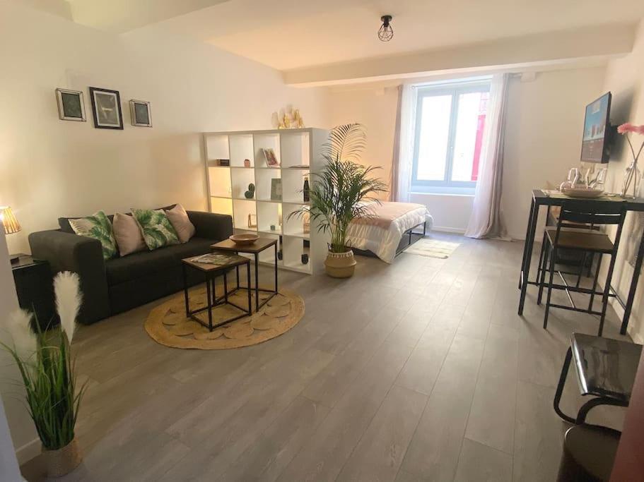Studio Coeur De Ville Proche Bords De Loire Orlean Zewnętrze zdjęcie