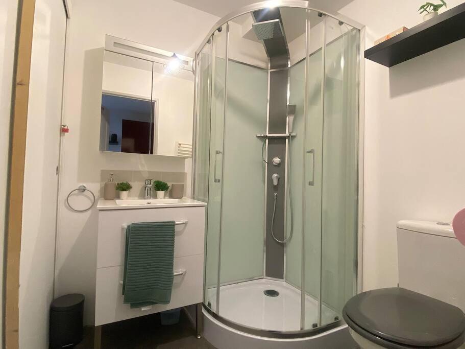 Studio Coeur De Ville Proche Bords De Loire Orlean Zewnętrze zdjęcie